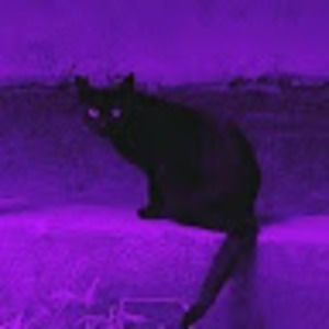 Meet your Posher, Annie